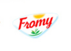 Logo Fromy